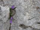 Dachstein 24.-27.08.2006-thb13.jpg